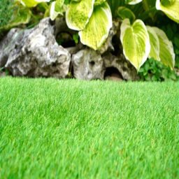 Gazon Synthétique | Composition 100% Polypropylène | Épaisseur 25MM | Quatre tonnes | Mesure 2X2 m