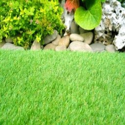 Gazon Synthétique | Composition 100% Polypropylène | Épaisseur 18MM | Quatre tonnes | Mesure 2X3M