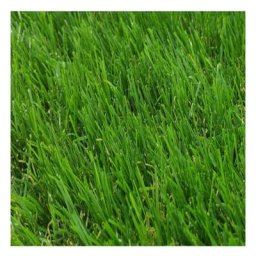 Gazon Synthétique | Composition 100% Polypropylène | Épaisseur 30MM | Quatre tonnes | Mesure 1X2M