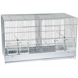 42 x 24 x 33 cm: Cage à oiseaux double en métal avec accessoires en plastique