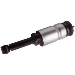 Suspension Pneumatique Avant Pour Range Rover Sport Rnb501620 Gauche/droite