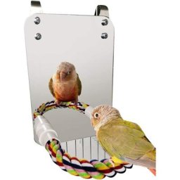 Oiseau Miroir Jouet avec Corde Perche Perroquet Morsure Jouet avec Grand Miroir Perroquet Griffe
