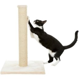 Animallparadise - Poteau griffoir Parla, hauteur de 62 cm. beige, pour chats Beige