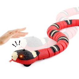Jouet de serpent pour chat, jouet de serpent intelligent, jouet de serpent électrique, jouet de