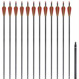 12 flèches standard en carbone 30 0,76 cm pour arc classique
