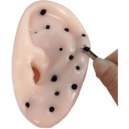 Nouveauté Popping Boutons Points Noirs Jouets Oreilles En Forme De Bouton Popping Décompression