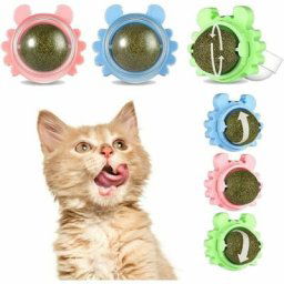 6 Boules d'herbe à Chat, Collations Murales Rotatives à 360 ° pour Chats, Jouets Comestibles pour