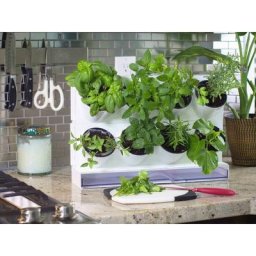 Kit jardin d'interieur verticale avec 8 pots blancs avec pot à arrosage automatique et réservoir