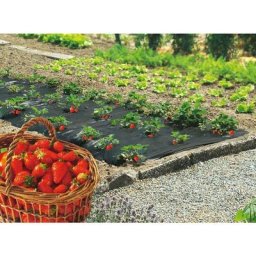 Film de paillage spécial fraises Fresafilm - 1,40 x 20 m - Nortene