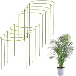 Kit de 10 Tuteur Plante Supports pour Plantes Grimpantes et Fleurs Tuteur Vert Aidez vos Plantes à