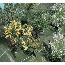 Nortene - Toile de paillage 120 g/m² agrosol - Vert - 1,25 x 10 m plié - Vert