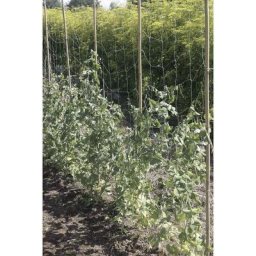 Filet à ramer Trellinet Bio en bio compostable - 1,85 x 10 m - Vert - Nortene
