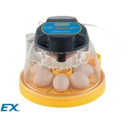 Couveuse Brinsea Mini ii ex 7 à 12 oeufs retournement et humidité automatiques