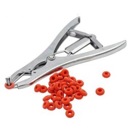 Pince à castration élastique en acier inoxydable pour bétail, porc, mouton, ceinture 100 anneaux en