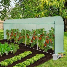 Idmarket - Serre à tomates 2 côtés relevables 6M² 4 saisons verte - Vert