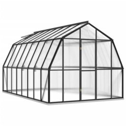 Serre avec cadre de base Anthracite 12,63 m² Aluminium Vidaxl n/a