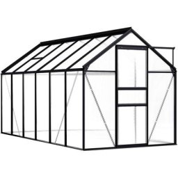 Serre Anthracite Aluminium 7,03 m² Vidaxl n/a