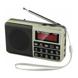 Swyeoot - Radio portable, radio avec batterie rechargeable de grande capacité-or Radio et enceinte