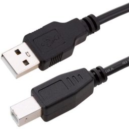 Câble d'alimentation pour périphérique usb 2.0 1 m (am/bm)
