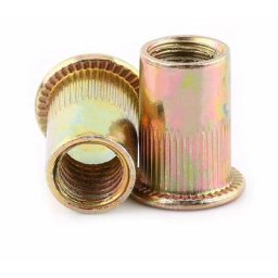 Lot de Ecrous de Rivet Insert Filetage Métrique en Acier au Carbone Zingué (M10 × 20pcs)