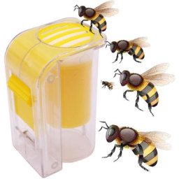 Kits de Stylo de Marquage Abeille Abeille Reine Marqueur de Marquage en Plastique à Une Main