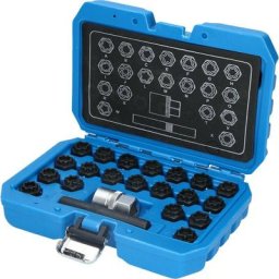 Brilliant Tools Gamme de systèmes antivol pour Audi, 22 pcs