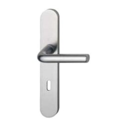Ensemble sur plaque fondue Arles 197L/300M Hoppe Argent F1 - Bec de cane - 596188