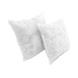 Lot de 2 Oreiller de Garnissage 50 x 50 cm - Coussin à Recouvrir - Oreillers Intérieur