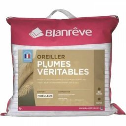 Lot de 2 oreillers Plumes - 60x60 cm - Blanreve