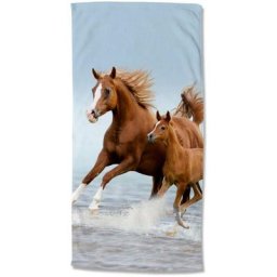 Good Morning - Serviette de plage free 75x150 cm Marron et bleu Multicolore