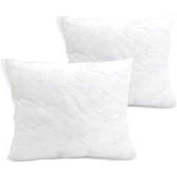 Lot de 2 Oreiller de Garnissage 40 x 60 cm - Coussin à Recouvrir - Oreillers Intérieur