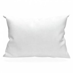 Taie d'oreiller rectangle us 50x75 cm en coton uni 57 Fils Soleil D'ocre blanc - Blanc