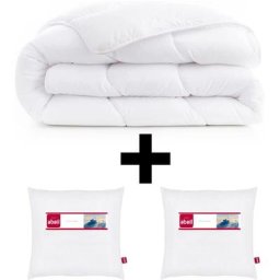 Pack Oreiller et Couette tempérée antiacariens coton bio 300mg 260x240 cm
