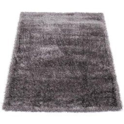 Paco Home - légant Tapis Shaggy Poils Hauts Uni Moelleux Brillant En Gris Gris Clair 60x100 cm