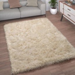 Paco Home - Tapis De Salon Fausse Fourrure Imitation Shaggy Coussins De Sol Forme Cœur Rond 120x170