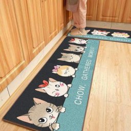 Lot de 2 Tapis Cuisine Antidérapant, Tapis Devant Absorbant Décoratif Paillasson, Doux Tapis du Sol