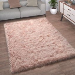 Paco Home - Tapis De Salon Fausse Fourrure Imitation Shaggy Coussins De Sol Forme Cœur Rond 120x170