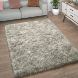 Paco Home - Tapis De Salon Fausse Fourrure Imitation Shaggy Coussins De Sol Forme Cœur Rond 60x100