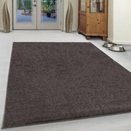 Tapis uni de Salon Chambre Relax Sobre et Epuré (Café - 120x170cm)