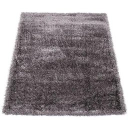 Paco Home - légant Tapis Shaggy Poils Hauts Uni Moelleux Brillant En Gris Gris Clair 160x230 cm
