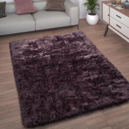 Paco Home - Tapis De Salon Fausse Fourrure Imitation Shaggy Coussins De Sol Forme Cœur Rond 120x170