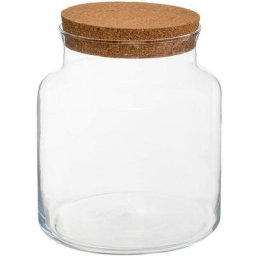 Terrarium Atmosphera créateur d'intérieur - Transparent