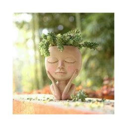 Vase Visage Humain Pots de plantes succulentes en resine Jardin art creatif Portrait abstrait pots