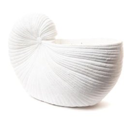 Vase coquillage blanc - Blanc - Amadeus