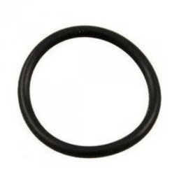 Hayward - Joint torique de cuve pour filtre à cartouche de piscine - Noir - CX250Z7 Noir