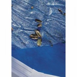 GRÉ - Bâche à bulles pour piscine ovale Gre Pool - Dimensions bâche: 6,05 x 3,70 m