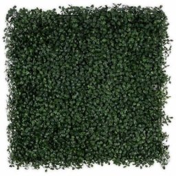 Décoration murale en plantes artificielles Boxwood Dark-Green 50 x 50 cm - Vert Foncé