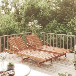 Lot de 2 Bains de soleil Chaises de jardin - Transat de jardin Bois d'acacia solide BV693629