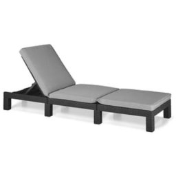Bain de soleil Allibert daytona graphite avec coussin mobilier d'extérieur - Gdr