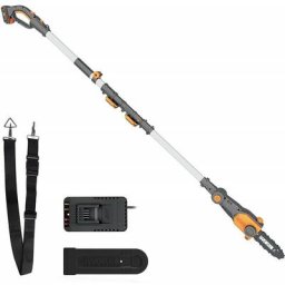Sécateur à batterie au lithium 4Mt 20V/2Ah avec chargeur rapide Worx Wg349E